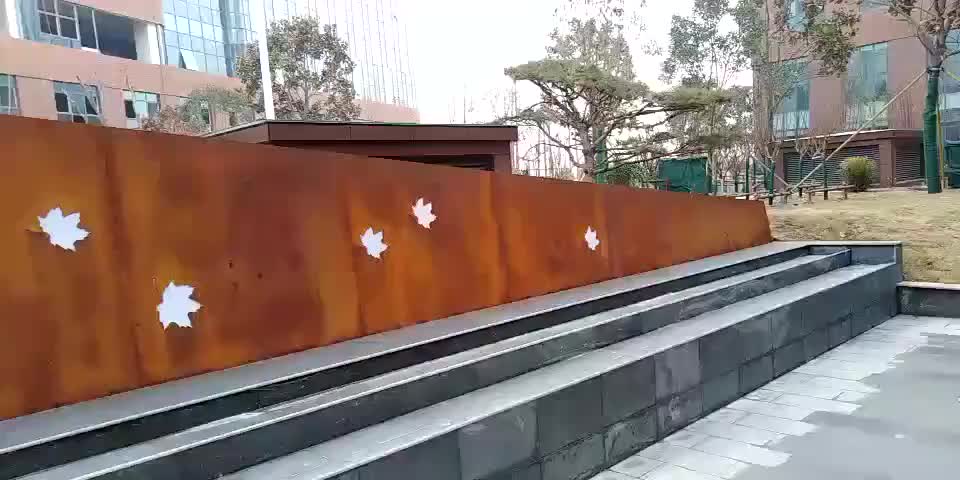 视频