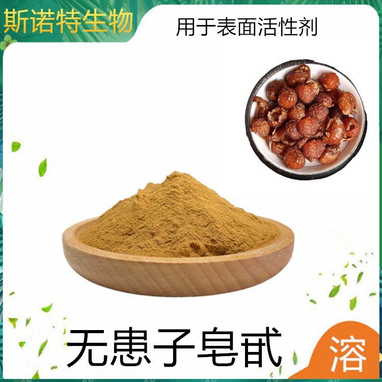 无患子皂甙 洗涤日化原料 植提老厂 斯诺特 货源充足