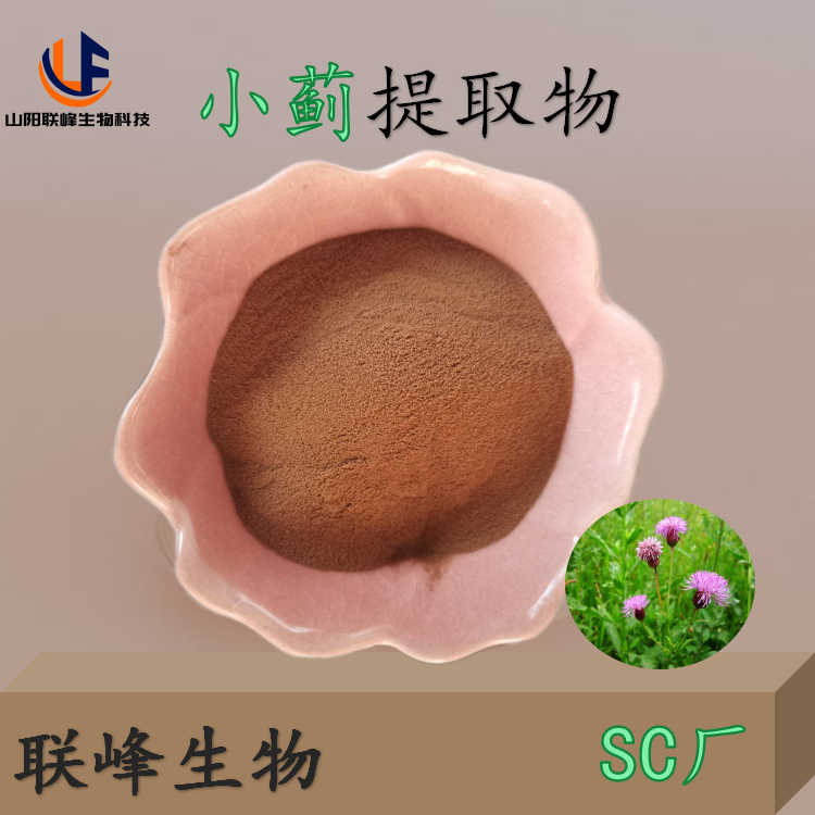 小蓟提取物 刺儿菜浓缩粉 比例10:1 食品级原料 固体饮料 1kg起 可拿样