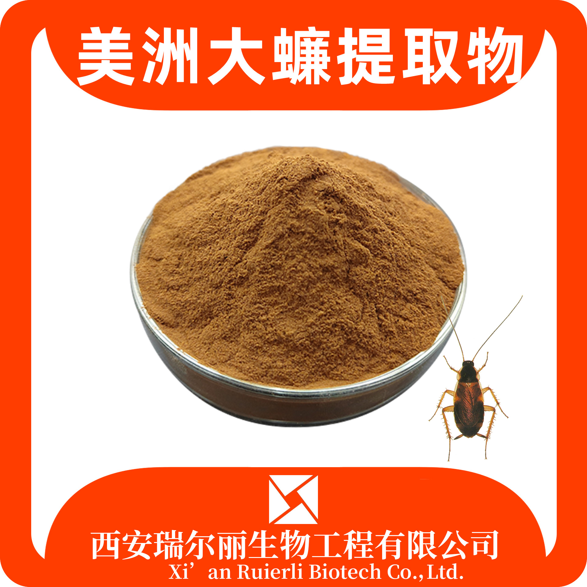 美洲大蠊提取物 蟑螂提取物 水溶蜚蠊粉 浓缩粉 SC证 可定制 瑞尔丽生物