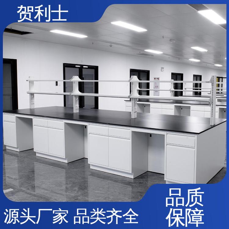 品种多样 长期供应 全钢中央实验台 耐高温 一站式工程 贺利士