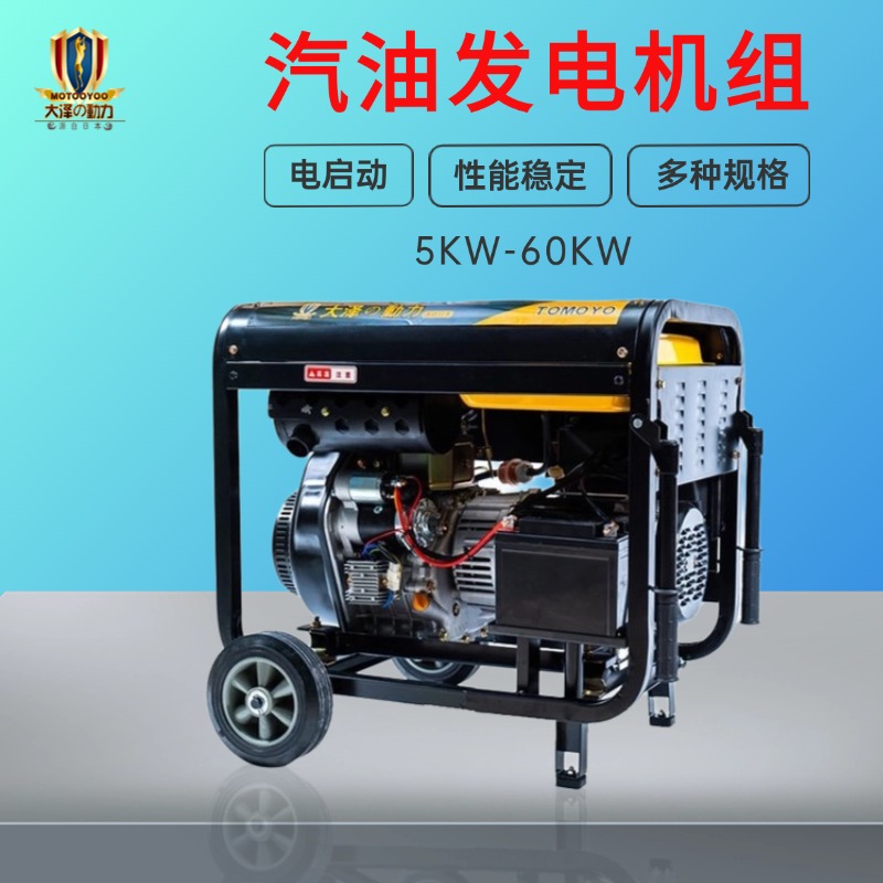 新 疆10KW12KW15千瓦汽油发电机厂家 全自动单三相220V380V大泽动力