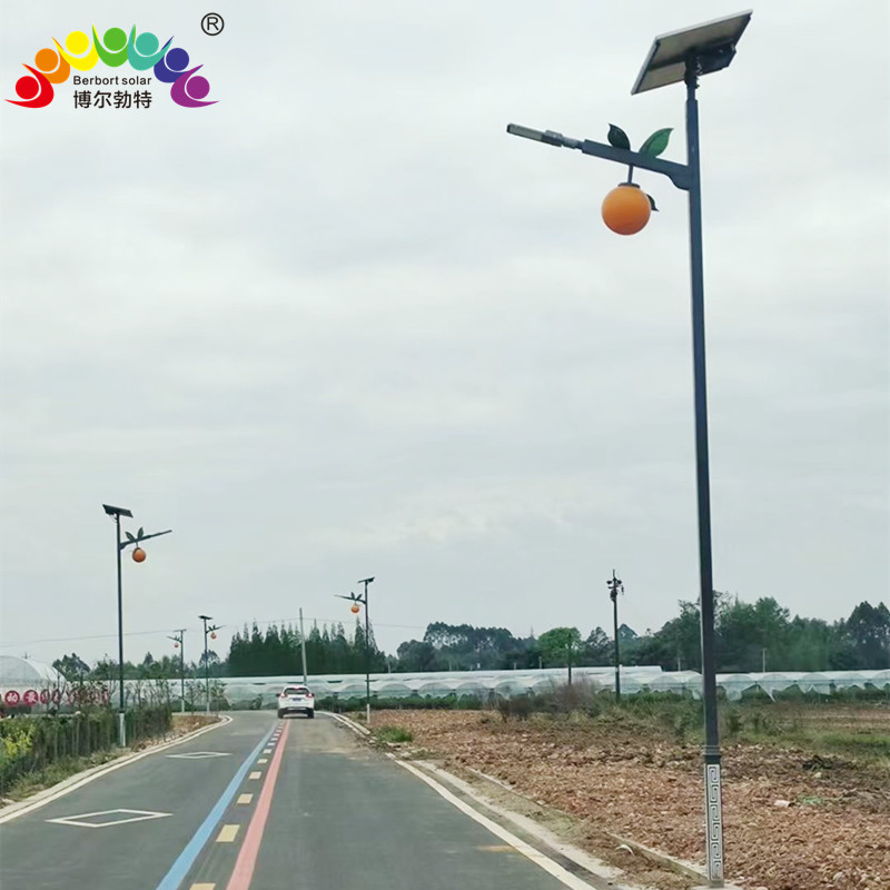 风光互补太阳能路灯 热镀锌路灯杆厂家批发博尔勃特