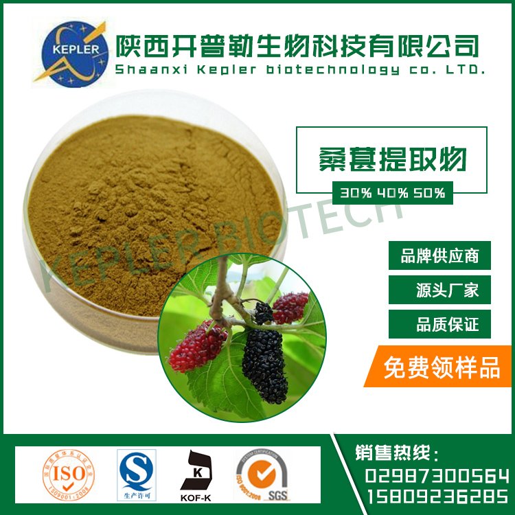 桑叶提取物 10:1水溶性桑叶粉 桑叶浓缩粉 桑叶多糖