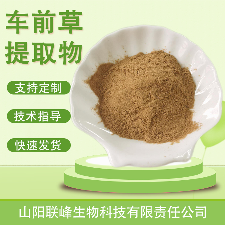 车前草提取物 蛤蟆草粉 水溶浓缩浸膏粉 食品原料 植物萃取可定制