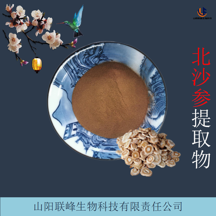 北沙参提取物 棕黄色粉末 含北沙参皂甙/多糖 全年供货