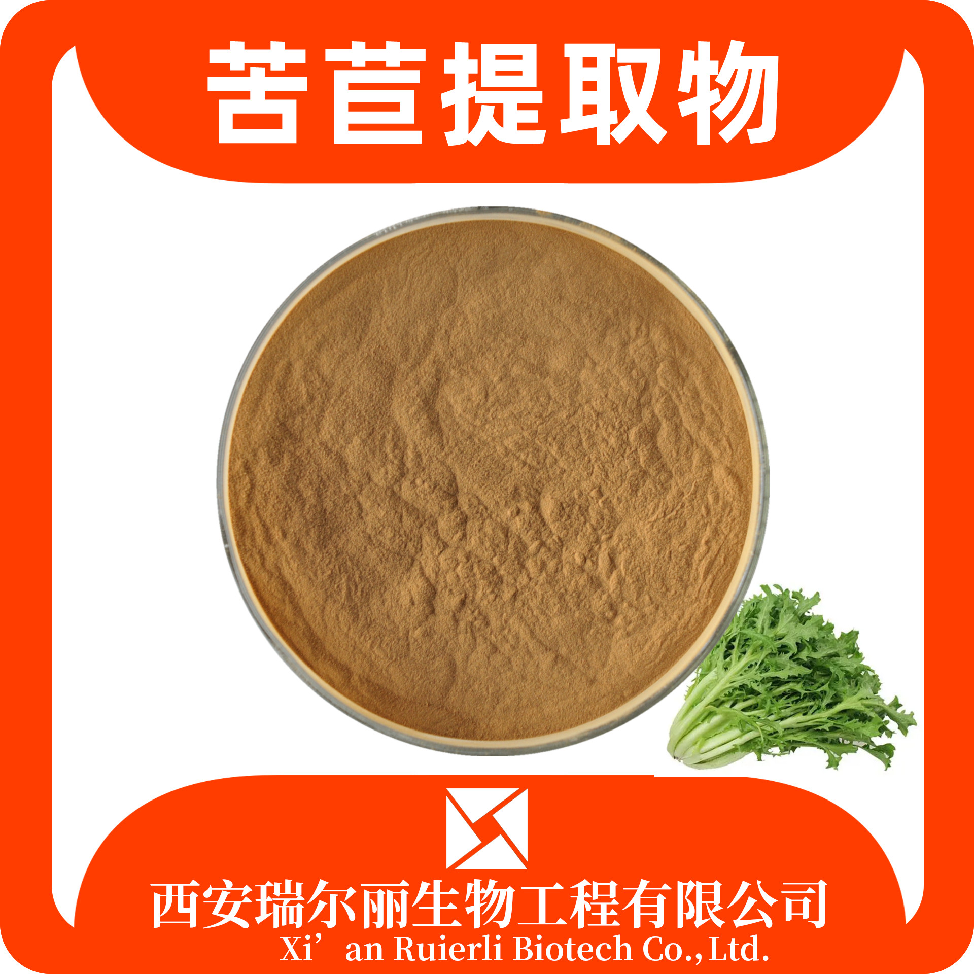苦苣提取物10：1 苦苣粉 速溶苦苣浓缩浸膏 瑞尔丽生物 现货速发