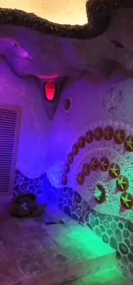 视频