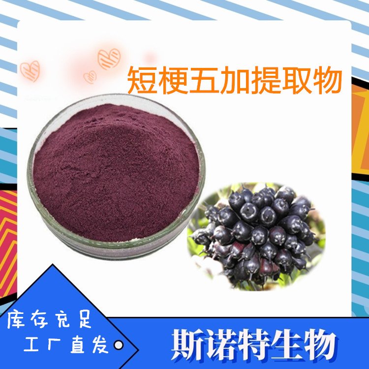 短梗五加果实提取物 紫红色粉末 溶于水 新资源食品原料