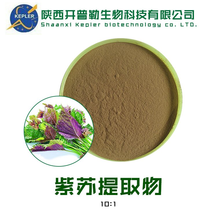 紫苏叶提取物10-1紫苏叶粉 紫苏叶浸膏 KPL-0080