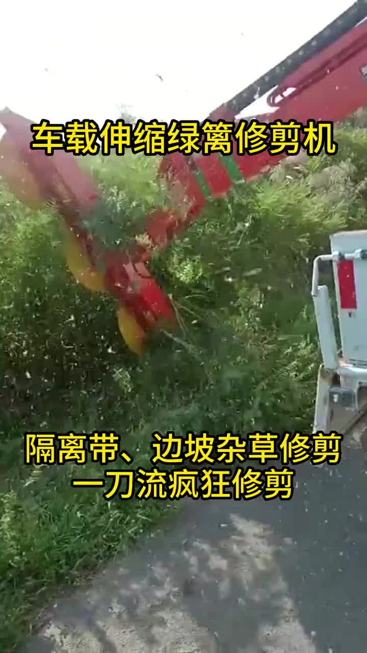 视频