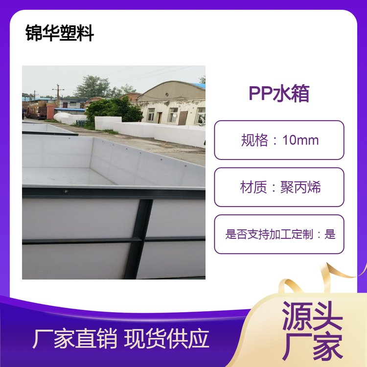 耐酸碱腐蚀车载运输 小型货车车载水箱 塑料PP鱼箱虾箱定制
