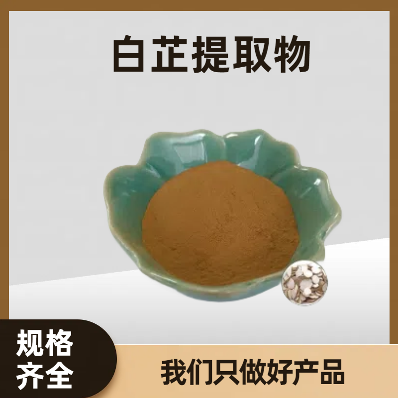 白芷提取物 川白芷根 欧前胡素 易溶解无杂质 含多糖 多规格