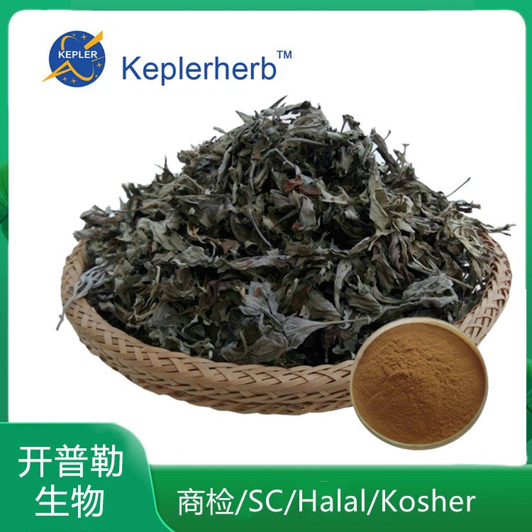 苦艾提取物 水溶浸膏粉 通过ID 商检 kosher halal 工厂