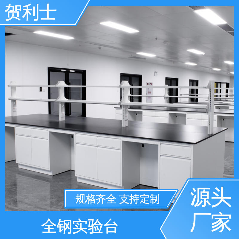 贺利士 耐高温 全钢实验台订制 科研院校制药用 经久耐用