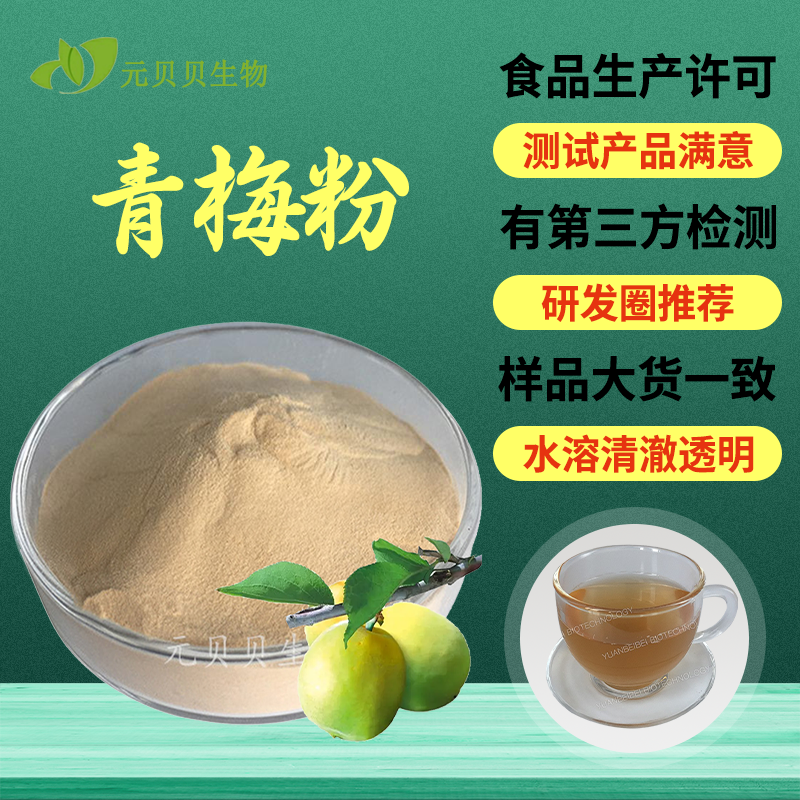 实力工厂青梅粉水溶青梅提取物冲调饮品原料食品级青梅果粉散装
