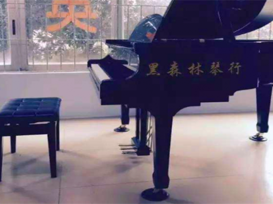 黑森林琴行