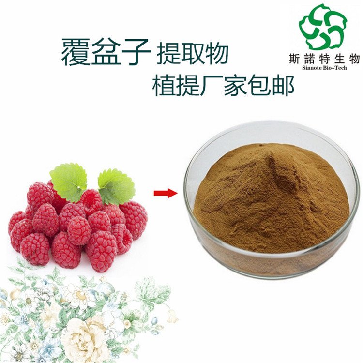 水溶性 覆盆子提取物 斯诺特 喷雾干燥粉 食品级原料