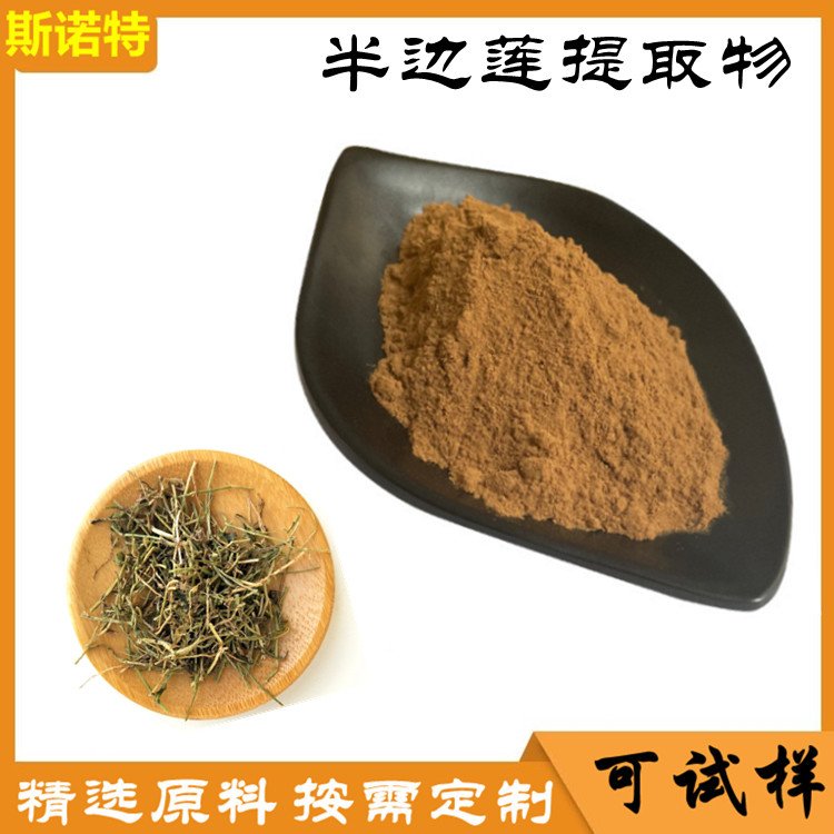 半边莲提取物 高倍浓缩粉 植物提取 承接来老代加工 斯诺特生物
