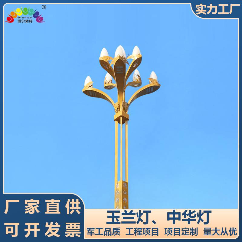 博尔勃特LED投光灯中华灯市政道路照明玉兰灯路灯杆厂家批发
