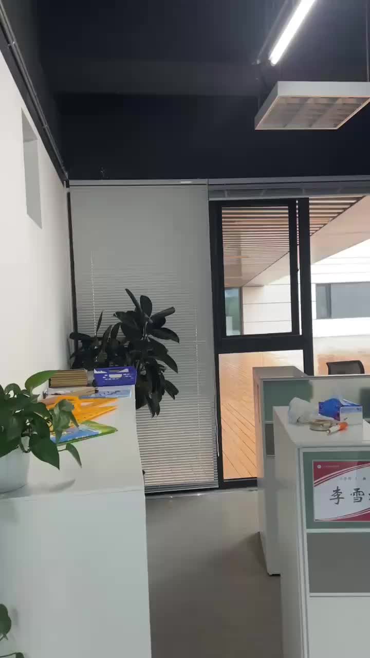 视频