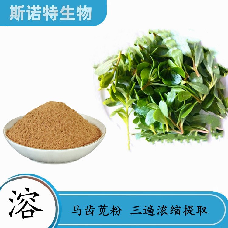 马齿苋速溶粉 可定制拆包造粒多比例 斯诺特生物