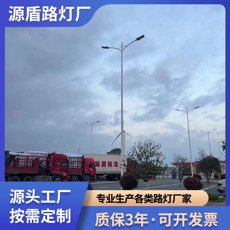 定制LED市电双臂路灯 8米9米乡镇道路高低臂双头街道照明灯