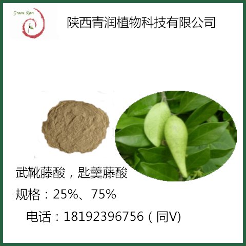 青润 植物提取物 专业生产供应 武靴藤提取物 含量25%75%