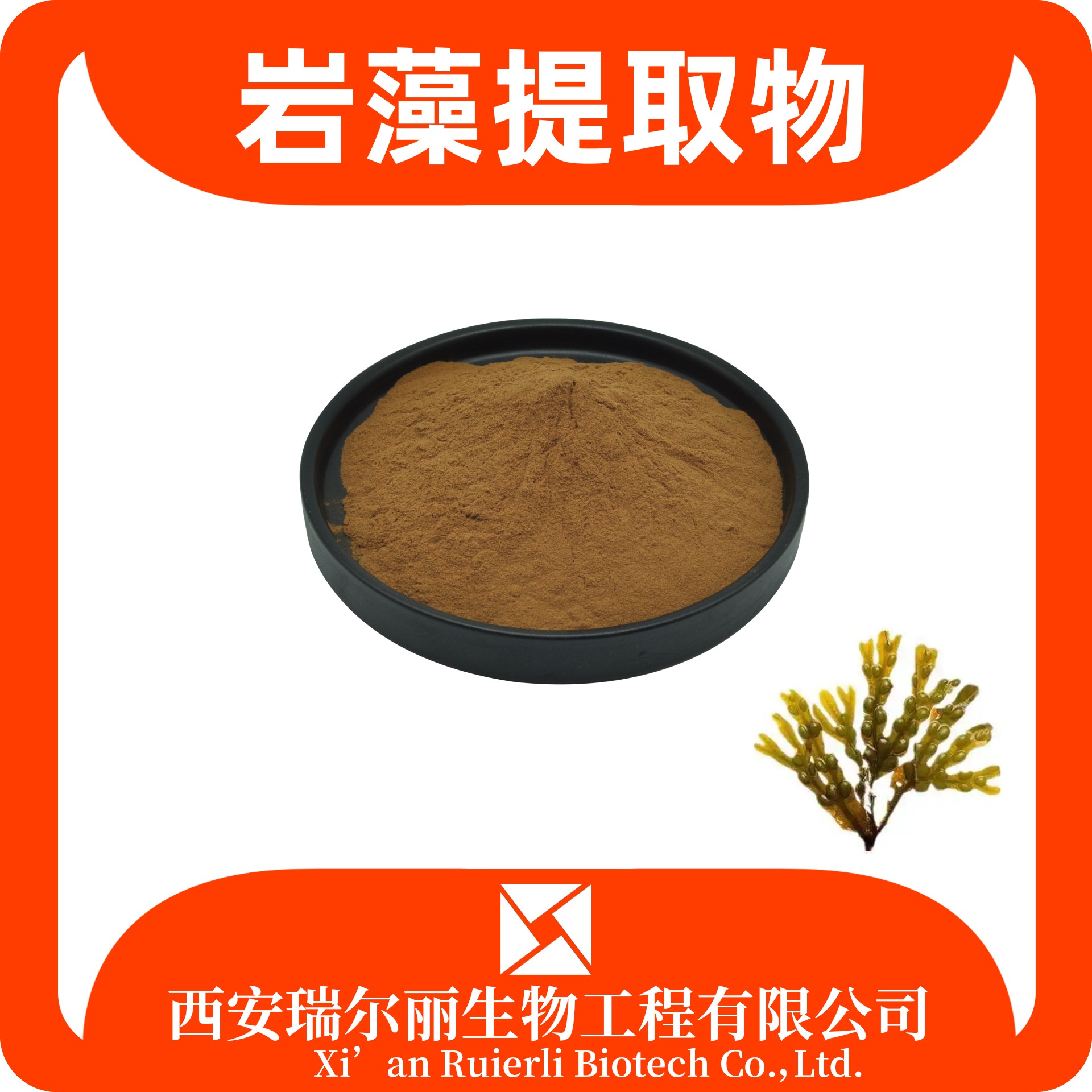 岩藻提取物 岩藻粉 岩藻多糖 速溶浓缩 SC证可定制 瑞尔丽生物 源头厂家