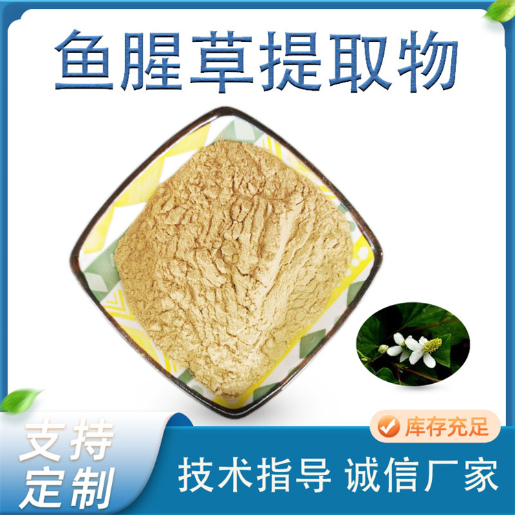 鱼腥草提取物 岑草浓缩粉 10:1比例 多规格 固体饮料资质 食品级厂家