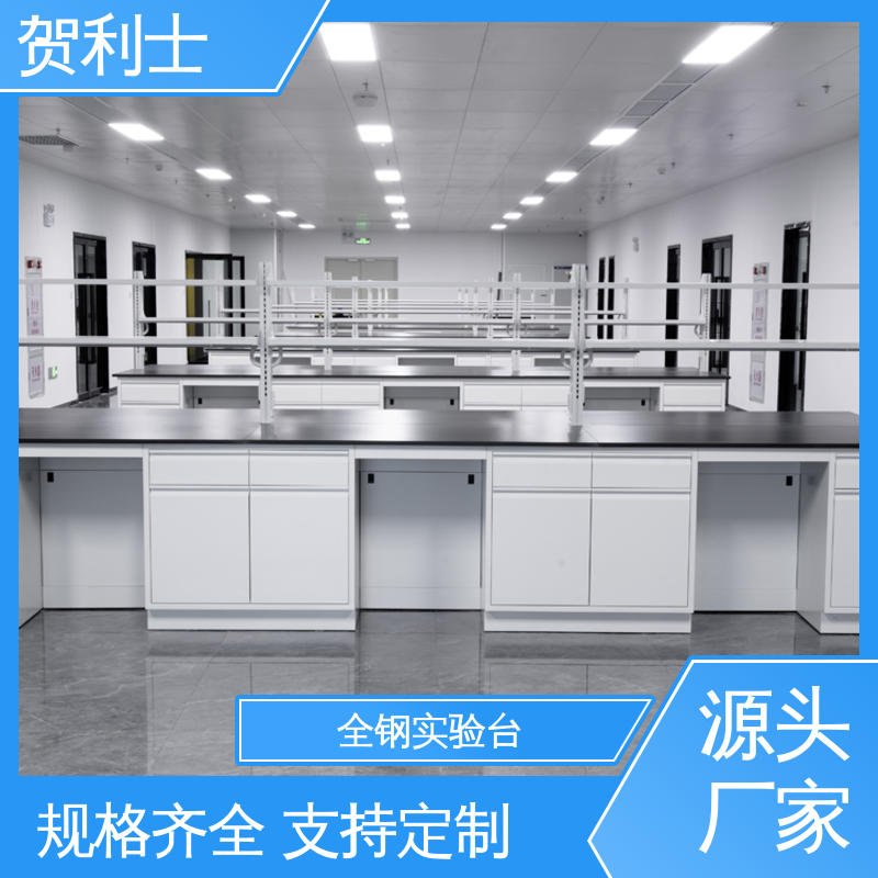 贺利士 耐腐蚀 全钢中央试验台 建设用实验家具 可定制