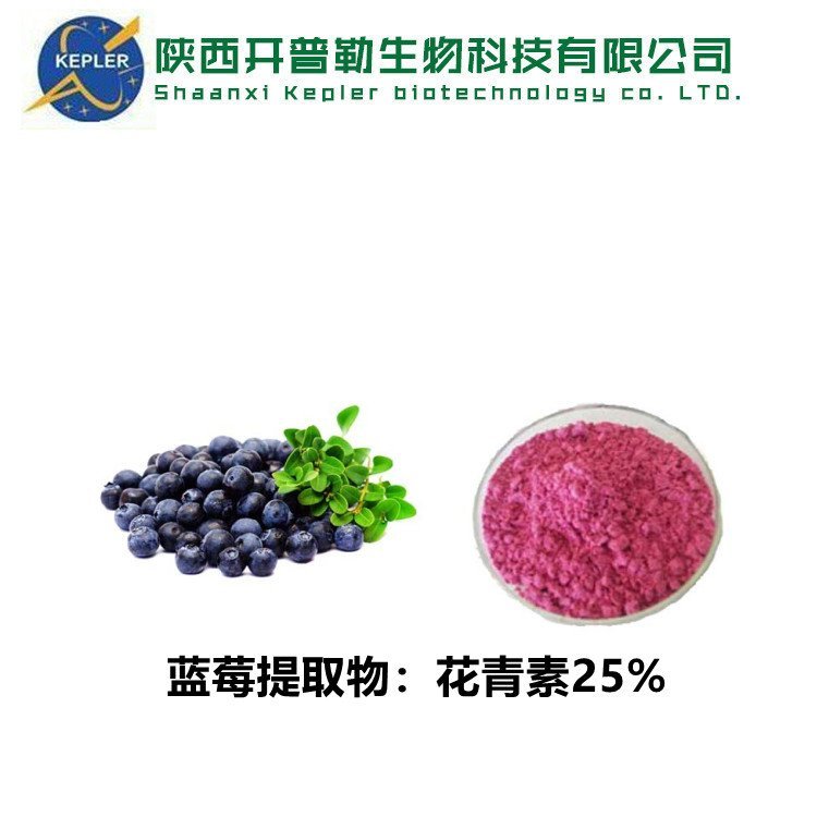 蓝莓提取物 花青素 蓝莓粉 蓝莓浸膏 支持定制 支持样品