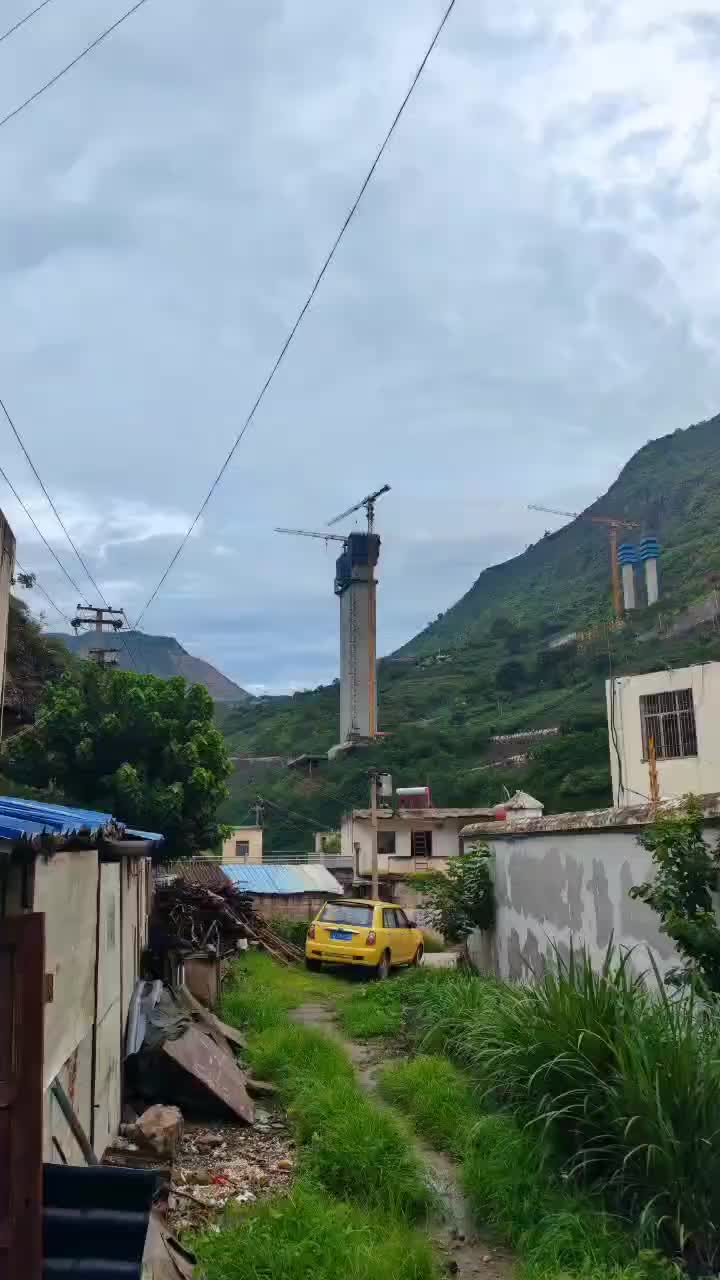 视频