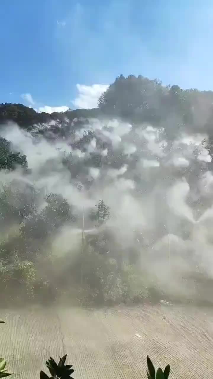 视频