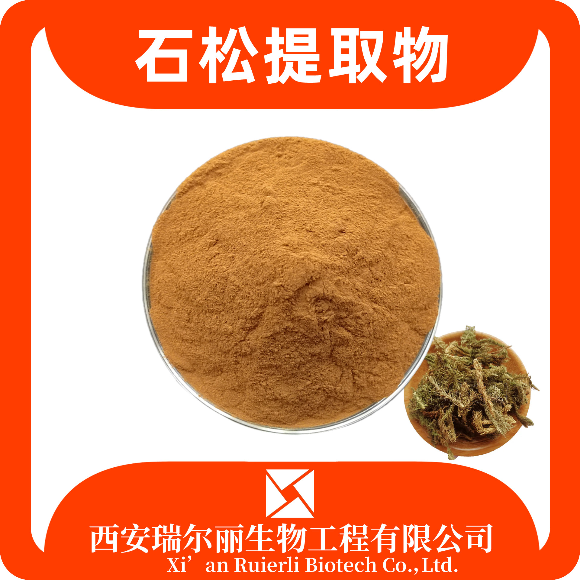 石松提取物10：1石松粉 速溶伸筋草浸膏 比例可定制 源头工厂