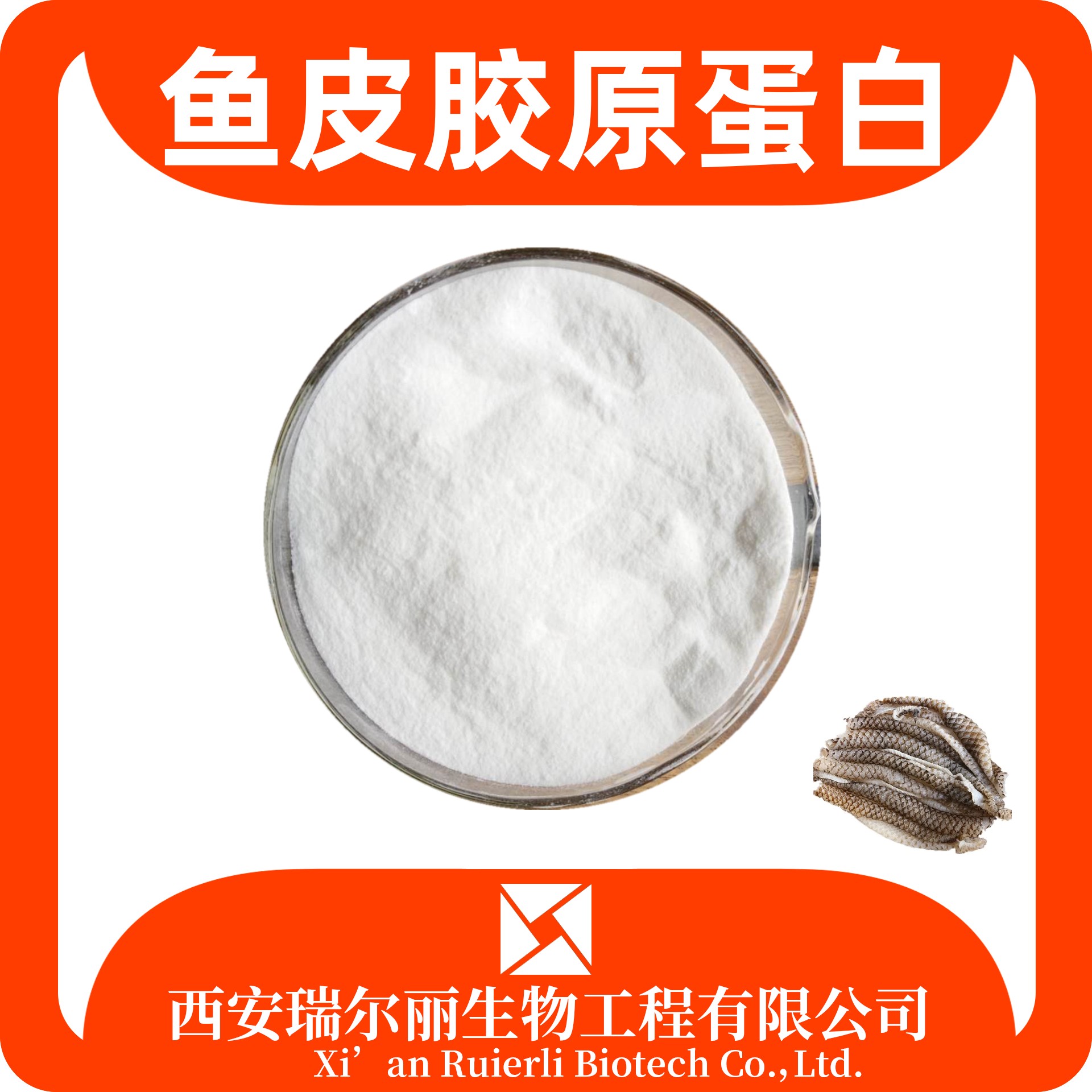 鱼皮胶原蛋白98% 深海鱼胶原蛋白肽 水解小分子蛋白肽 瑞尔丽生物