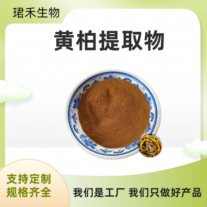 黄柏提取物 水溶黄柏原料粉 速溶粉 浸膏 可定制生产规格