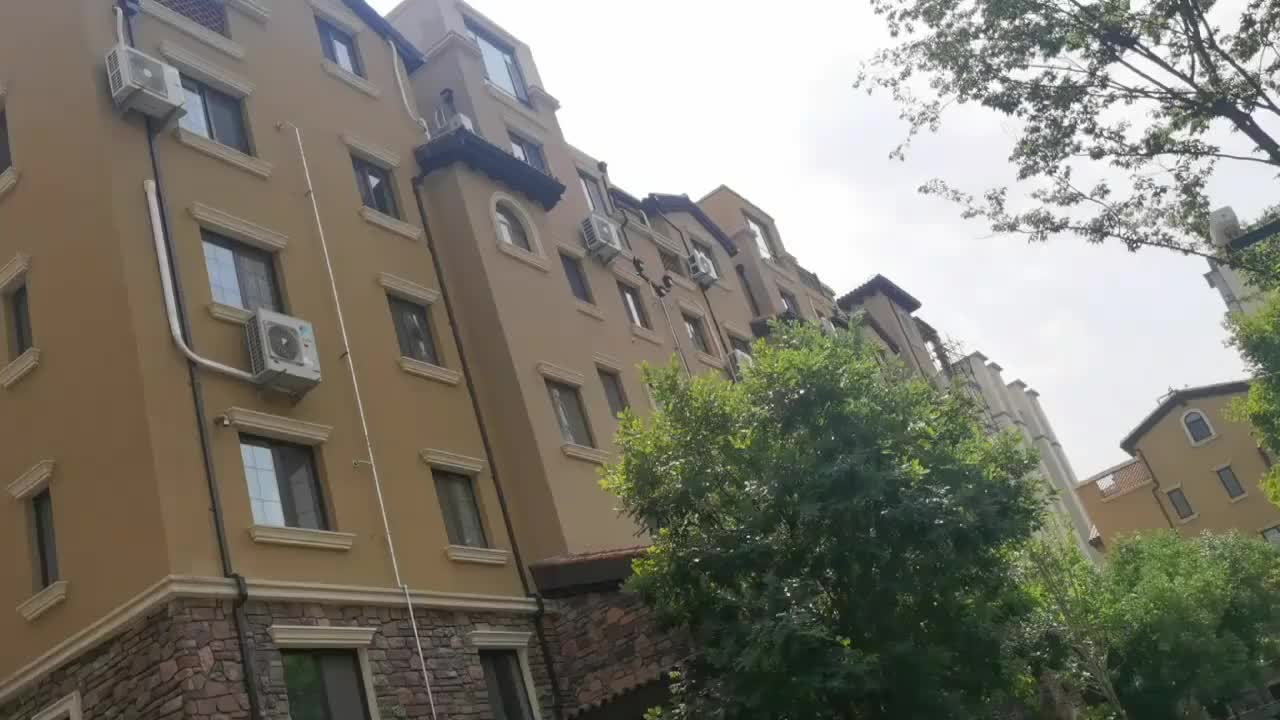 视频