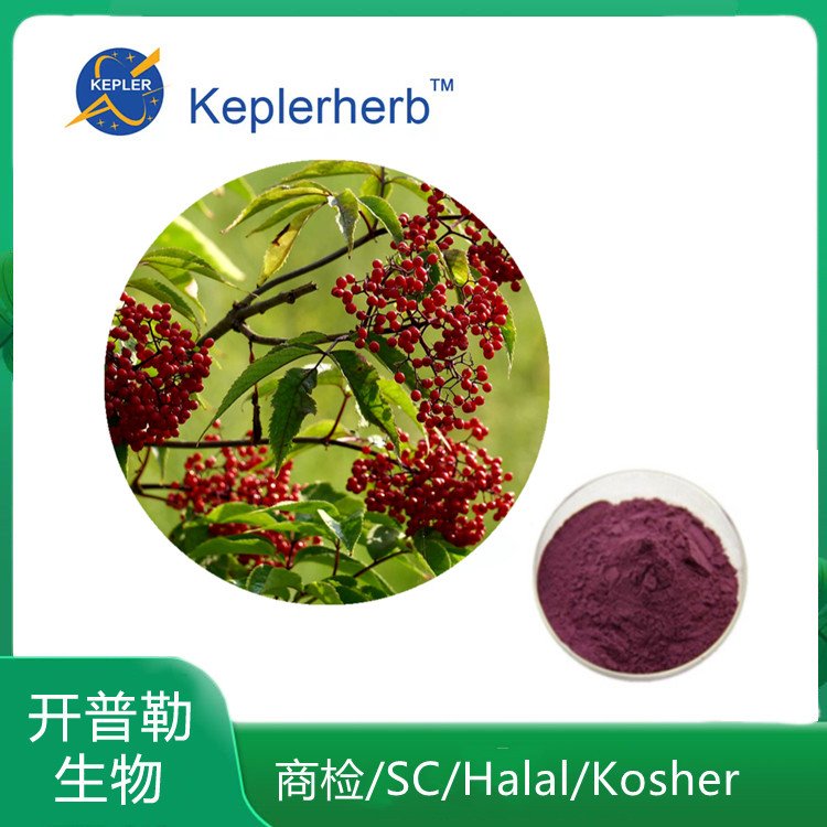 接骨木提取物 花青素25% 接骨木莓提取物 规格可定制 KPL-0012
