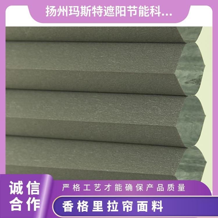 玛斯特全遮光电动拉帘面料柔纱帘现代简约生产厂家