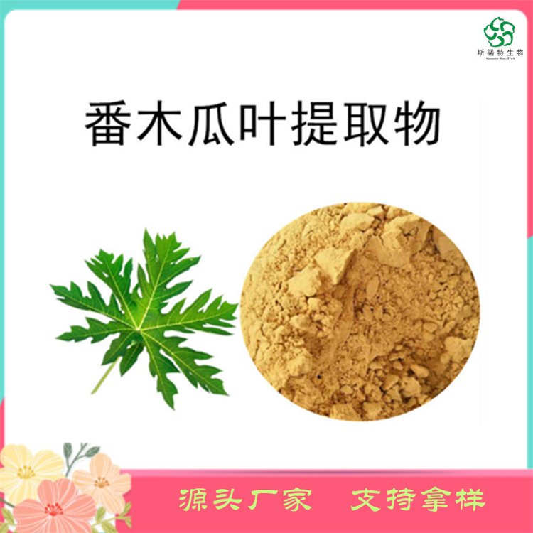 水溶性 番木瓜叶提取物 精细粉末 95%过80目筛 斯诺特