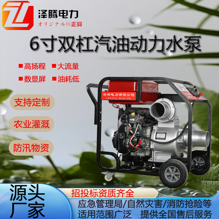 6寸双缸汽油动力水泵 SW6CQY 泽腾电力 招投标资质齐全 应急管理局