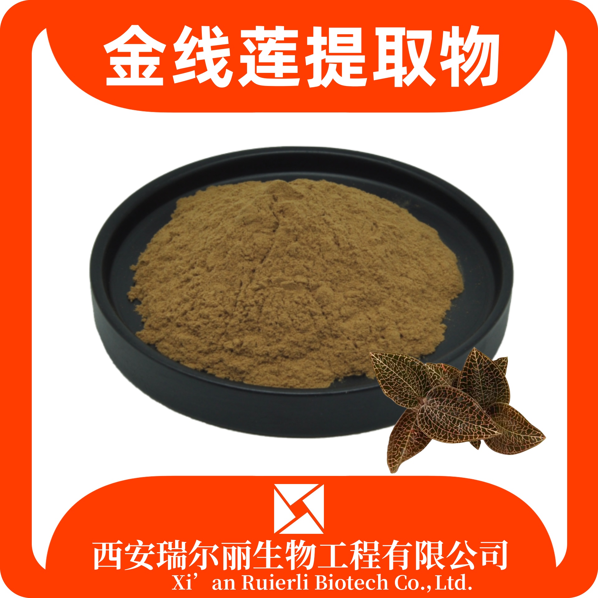 金线莲提取物 速溶金线莲粉 金线兰粉 sc证可定制 瑞尔丽生物 源头厂家