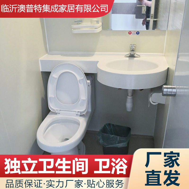 整体淋浴房卫生间一体式移动家用洗浴房卫浴