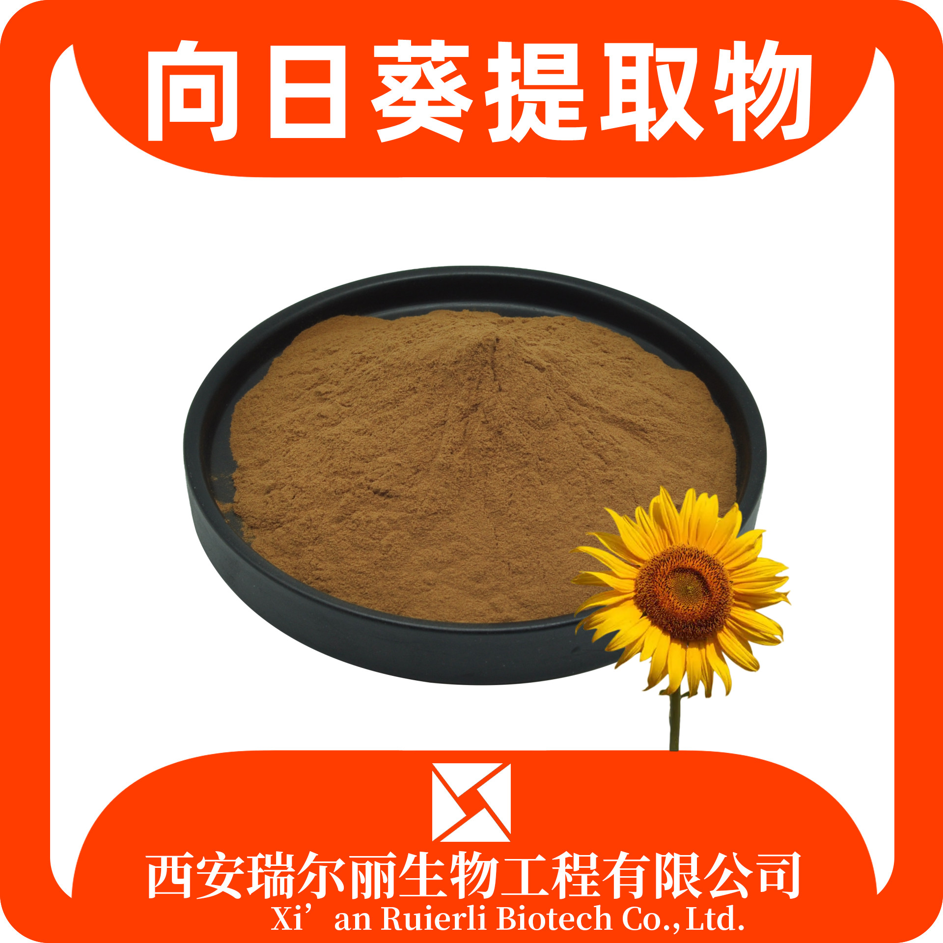 向日葵提取物 葵花盘粉 葵花盘肽 速溶浓缩可定制 源头工厂