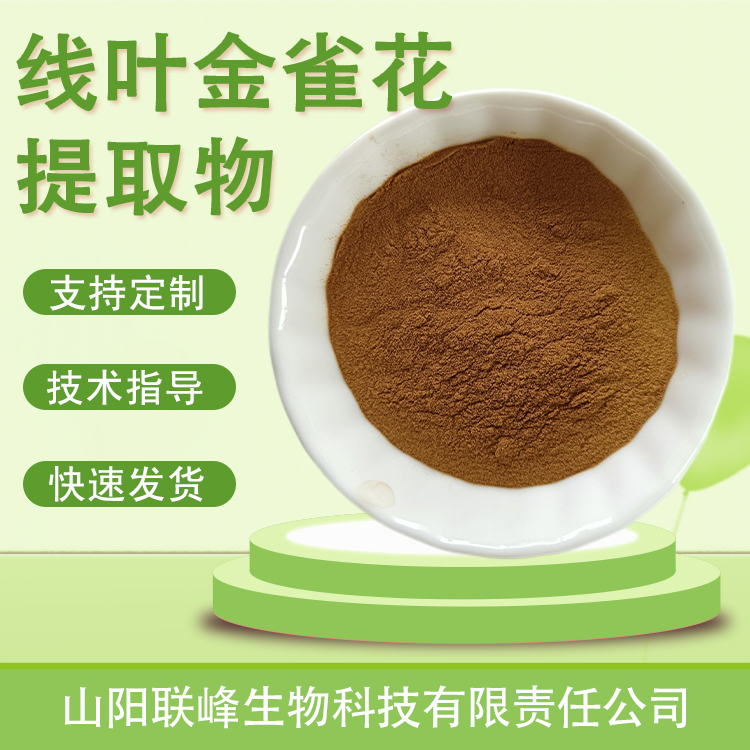 线叶金雀花提取物 南非博士茶 浓缩粉 新资源食品 水溶 原料