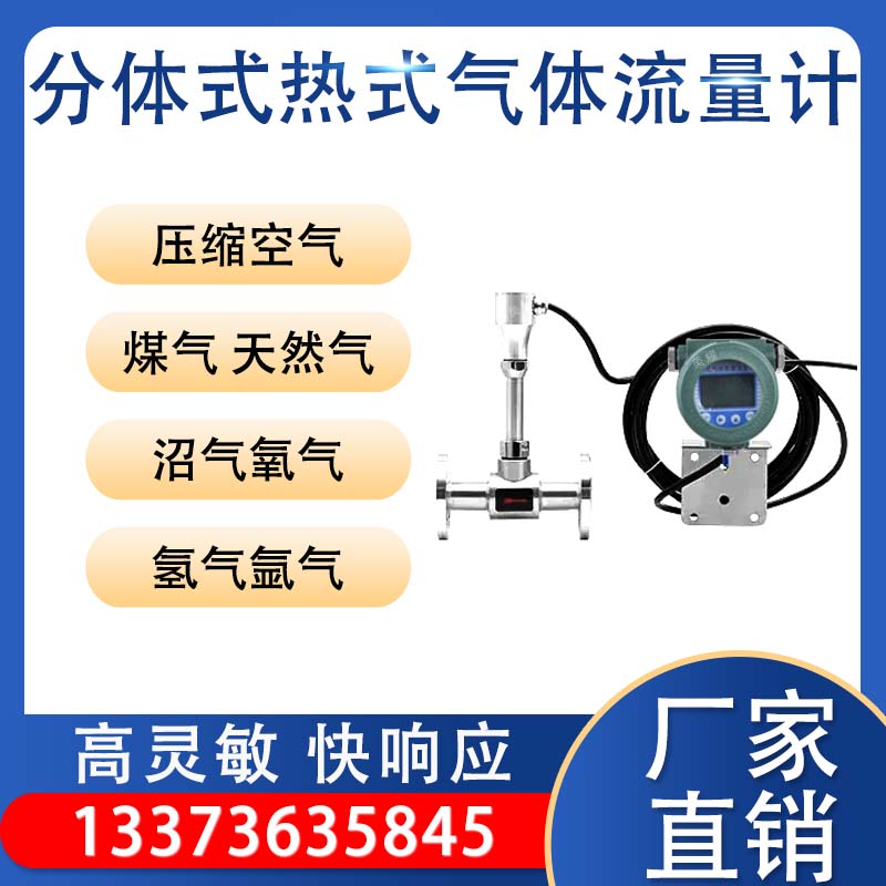 热式气体质量流量计 插入式/管道式 压缩空气天然气氧气氮气沼气