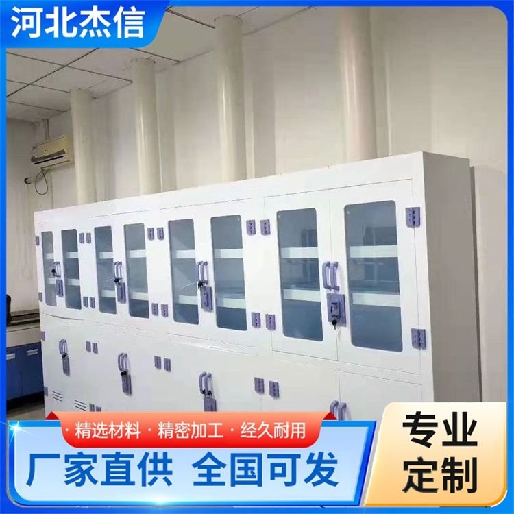 加工pp试剂柜 化学样品危化品柜 耐腐蚀 全国可发 标准国标
