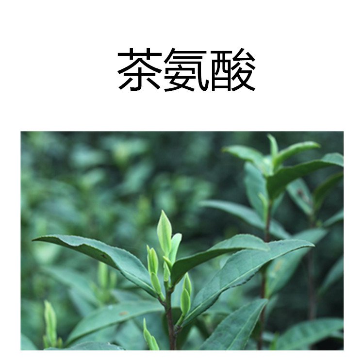 茶氨酸 绿茶提取物植物浓缩 一公斤拆包打样包邮