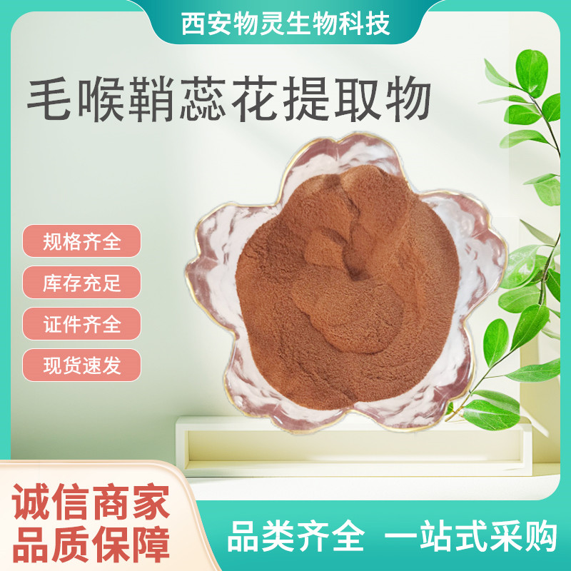 毛喉鞘蕊花提取物 水溶浓缩粉 毛蕊花糖苷 喷雾干燥原料